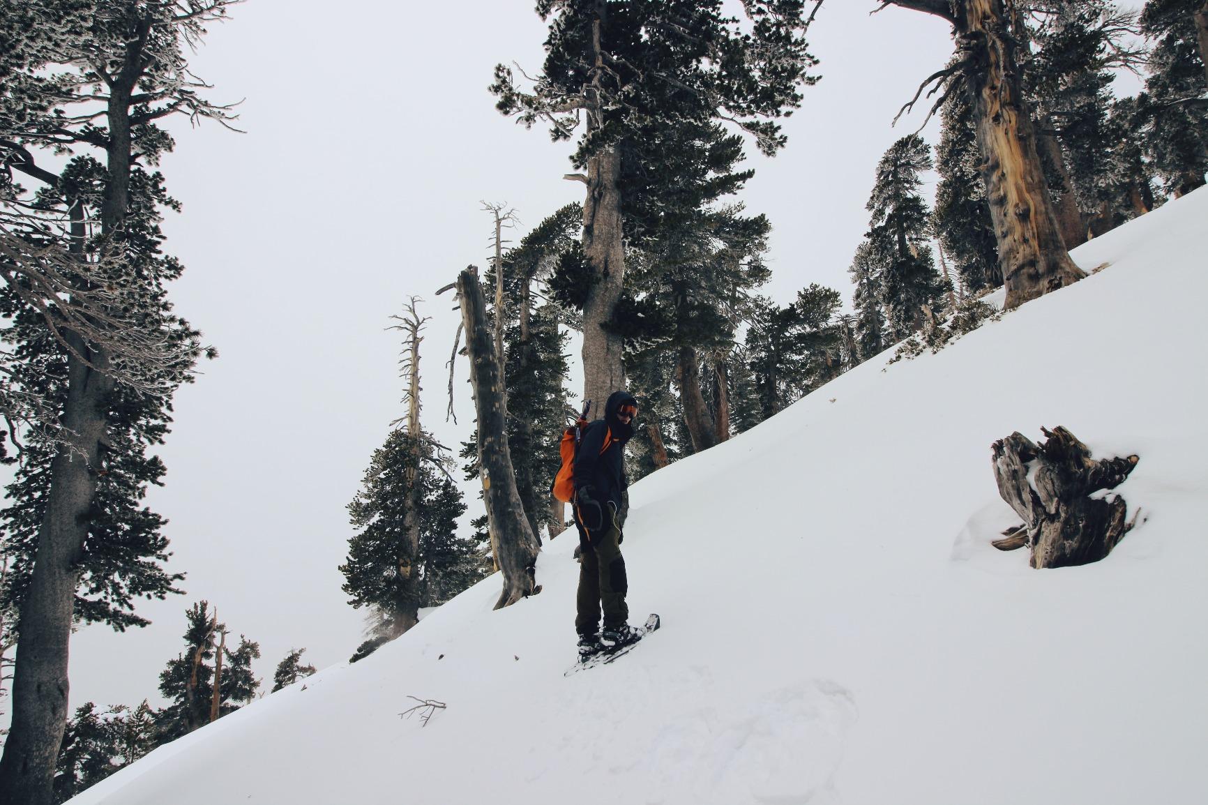 MSR Evo Ascent Backcountry & Mountaineering Snowshoes, 22 Inch Pair customer photo 1