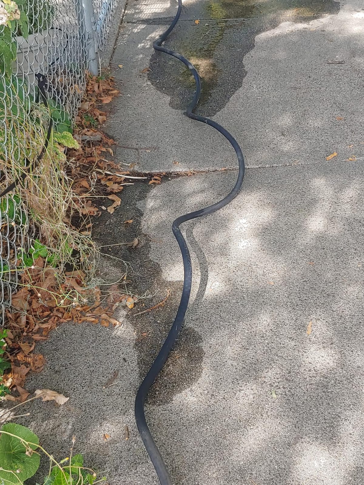 zero-G 4001-50 Lightweight, Ultra Flexible, Durable, Kink-Free Garden Hose, 5/8-Inch by 50-Feet, Black customer photo 1