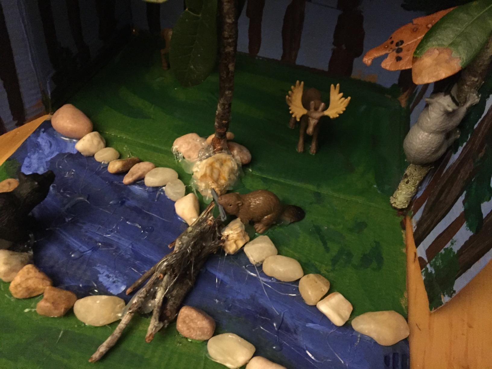 Safari Ltd Nature TOOB - 12 Mini Figurines with Rabbit, Beaver, Doe, Gray Wolf, Fox, Black Bear, Moose, Mountain Lion, Bald Eagle, and More - Educational Toy for Boys, Girls & Kids Ages 3+ customer photo 2