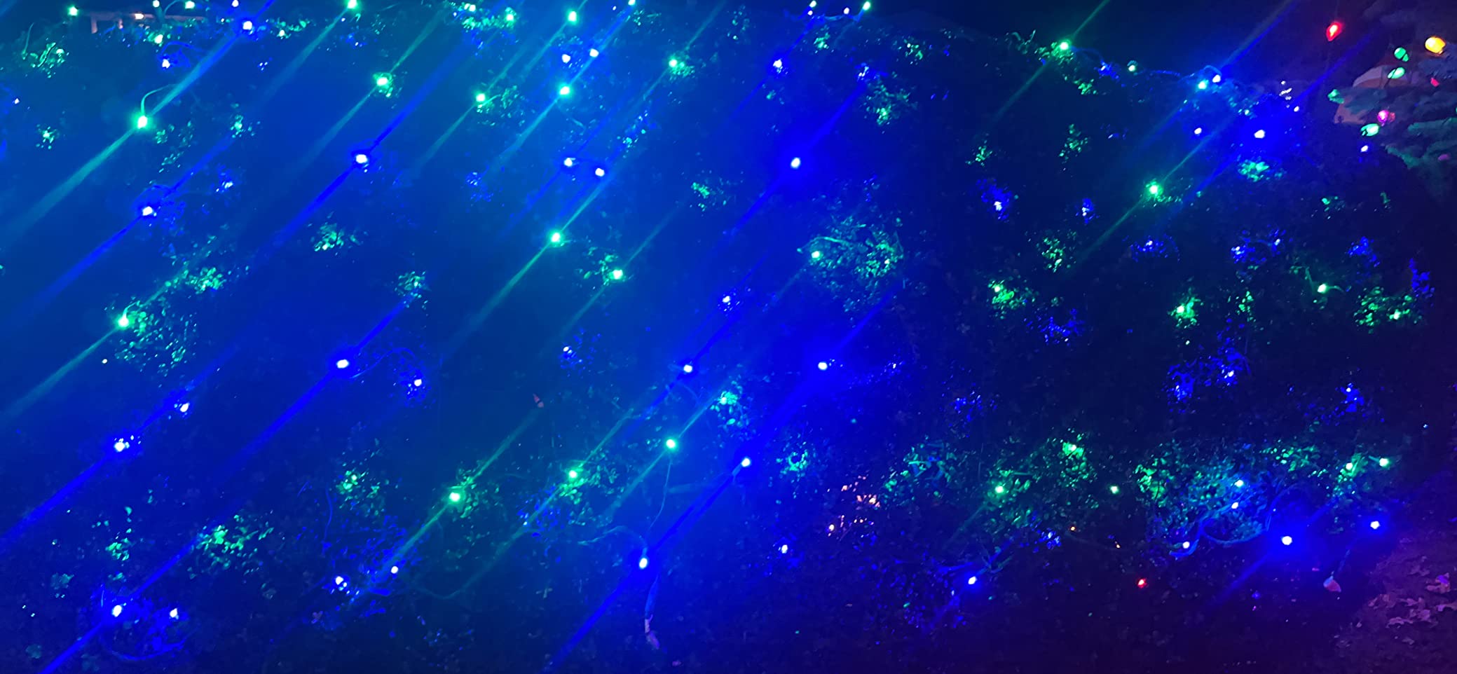 Wintergreen Lighting Set of 100 Warm White LED Net Lights - Christmas Outdoor Decorations, Green Wire (4 x 6 ft, 5mm Lights) customer photo 1