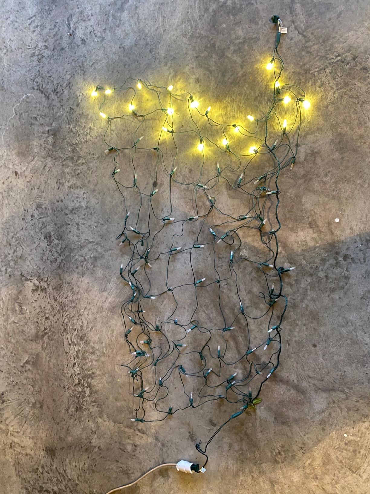 Wintergreen Lighting Set of 100 Warm White LED Net Lights - Christmas Outdoor Decorations, Green Wire (4 x 6 ft, 5mm Lights) customer photo 2