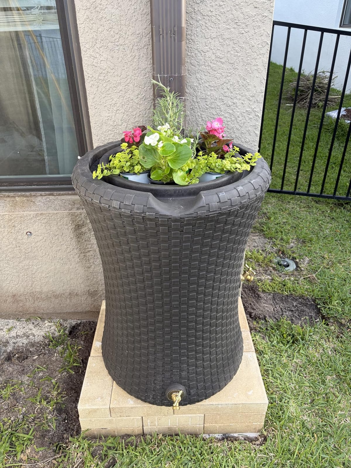 Good Ideas Impressions Nantucket Rain Water Collection Barrel, 50 Gallon customer photo 1