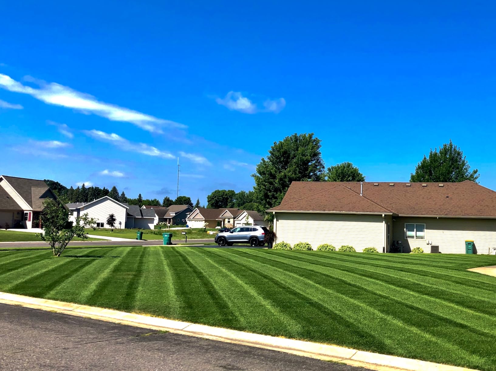 TORO Lawn Striping System customer photo 2