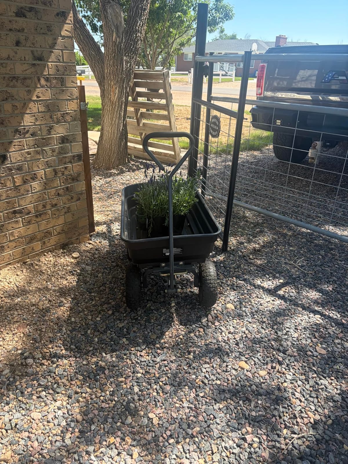 Gorilla Carts Poly Dump Cart, 600 lb. Capacity, 4 Cu ft, Quick Release Dump customer photo 1