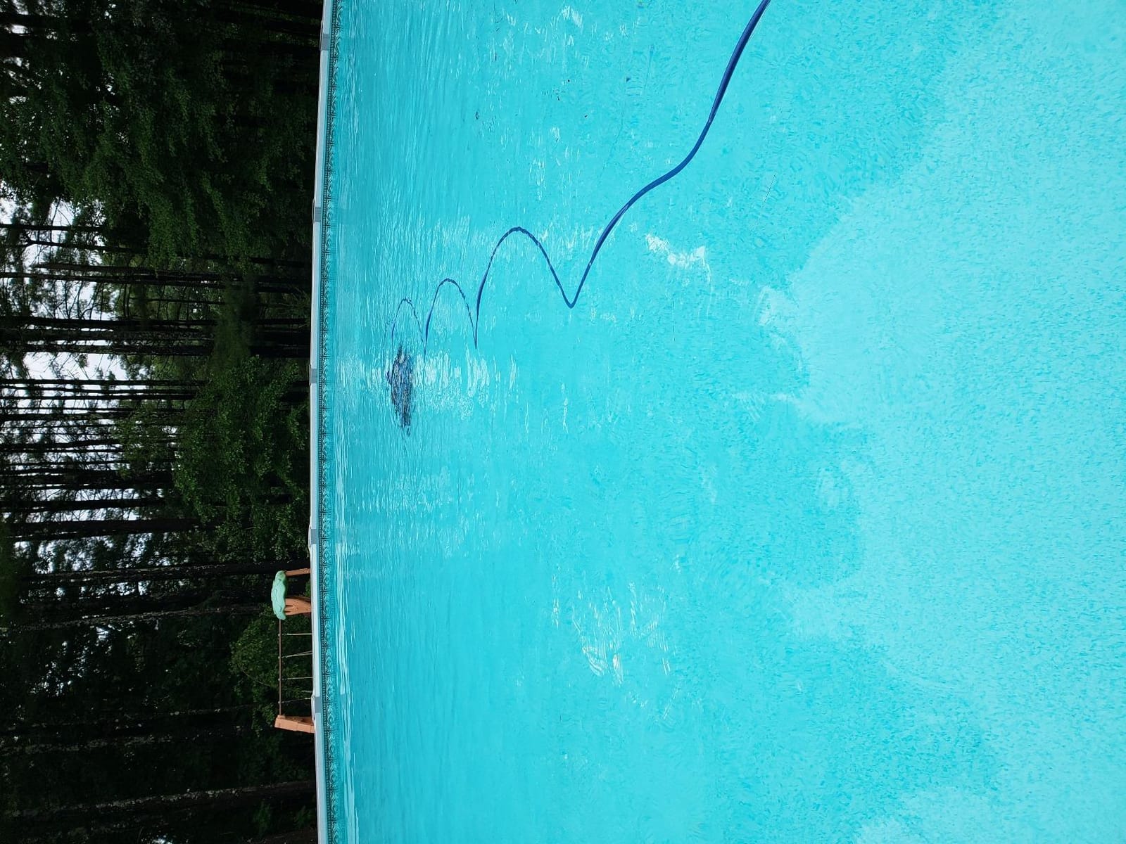 Dolphin Escape Robotic Pool Cleaner (2026 Model) — Massive Top-Loading Filter, Dual Motors, HyperBrush, HyperGrip Tracks, Smart Navigation — for Above Ground & In-Ground Pools up to 33ft customer photo 1