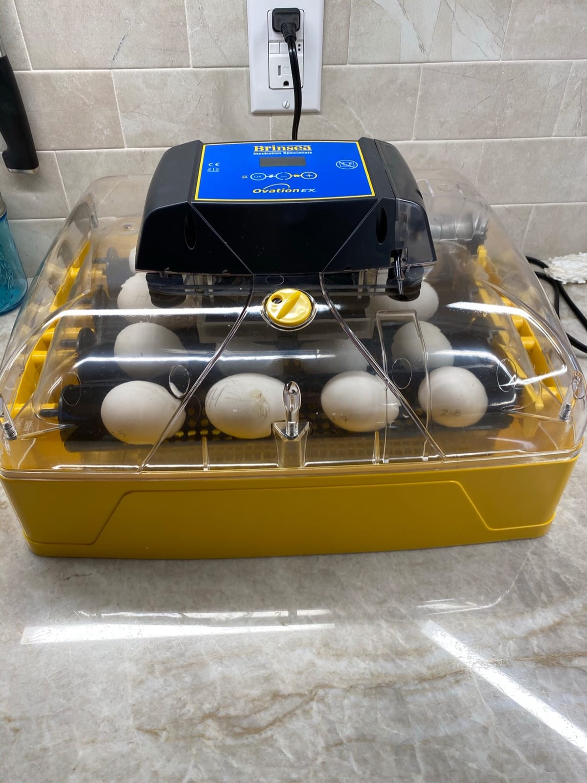 Brinsea Ovation 28 EX Egg Incubator, Automatic Turning & Humidity Control | Built-in automatic humidity, auto-turn & temp alarms take the stress out of hatching 28 eggs customer photo 2