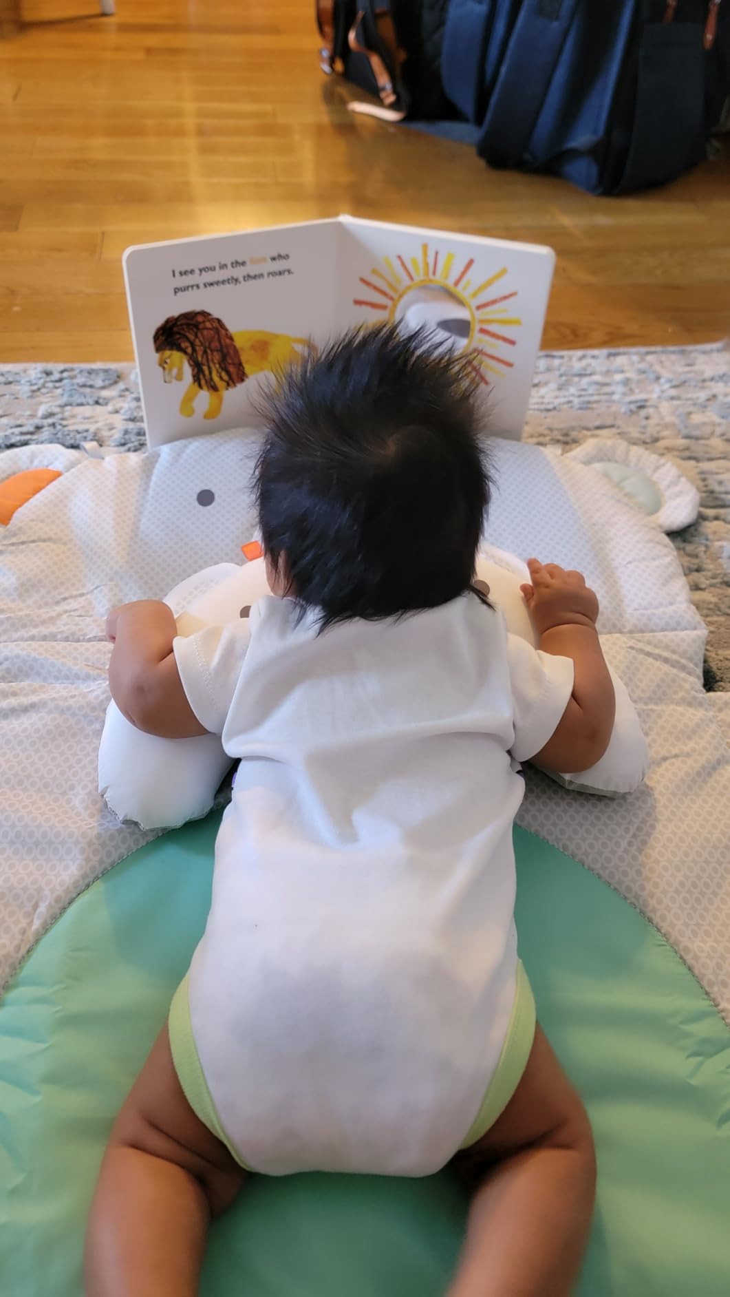 Bright Starts Tummy Time Prop & Play Baby Activity Mat with Support Pillow & Taggies - Polar Bear 35 x 29.5 in., Newborn and up customer photo 1