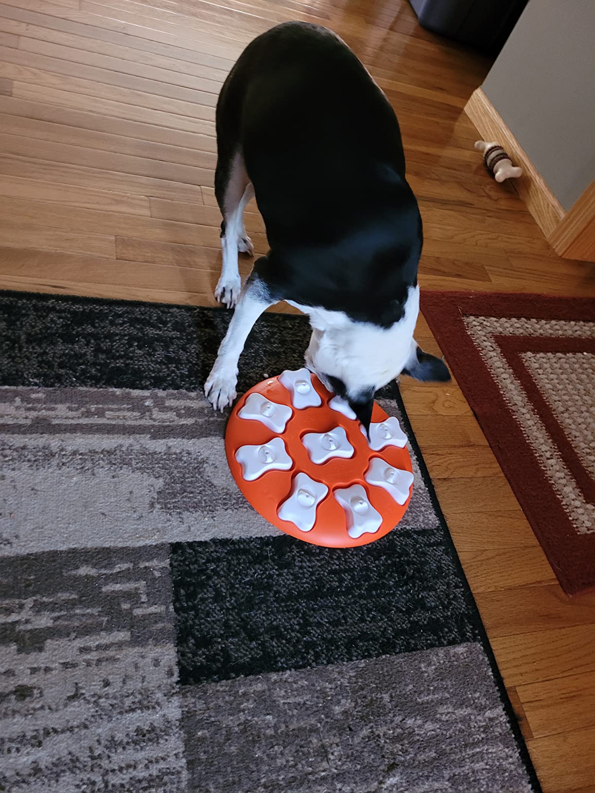 Outward Hound Nina Ottosson Dog Smart Dog Toy Treat Puzzle, Enrichment, 11