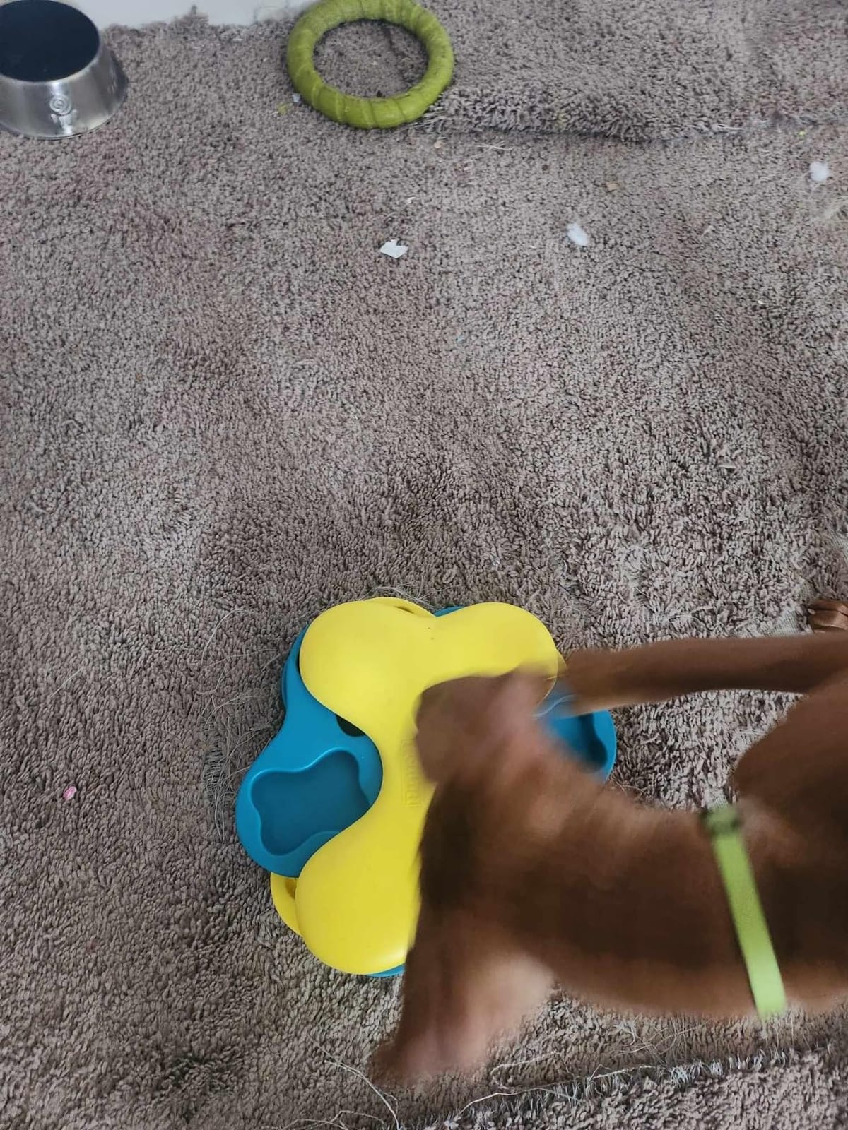 Outward Hound Nina Ottosson Dog Tornado Dog Toy Treat Puzzle, 9.8