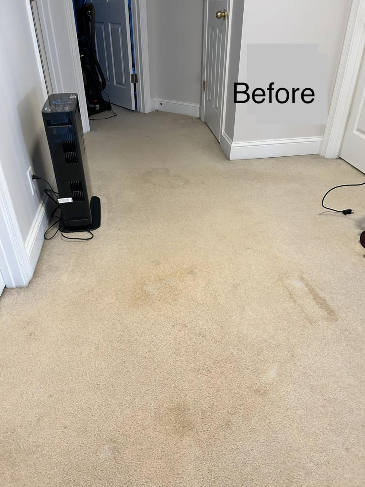 OxiClean Large Carpet Cleaner Liquid Solution, 64 fl oz customer photo 1