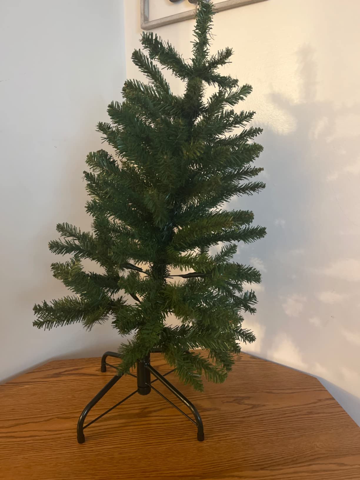 National Tree Company 4 ft Unlit Kingswood Fir Mini Artificial Slim Christmas Tree, 269 Tips, Includes Stand, Green customer photo 1
