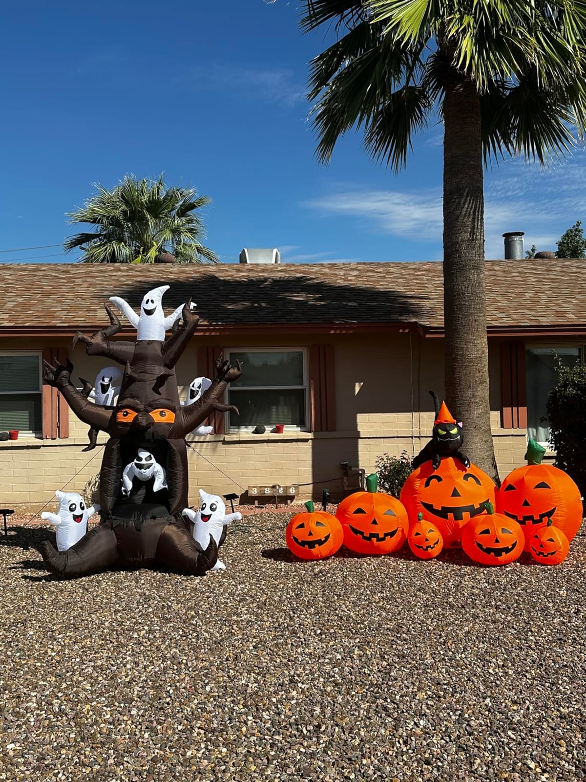 Joiedomi 7 FT Long Halloween Inflatables Pumpkin Outdoor Decorations, 7 Pumpkins Outside Decoration with Witch's Cat with Build-in LEDs Blow Up Inflatables for Party Yard Lawn Garden Decor customer photo 1