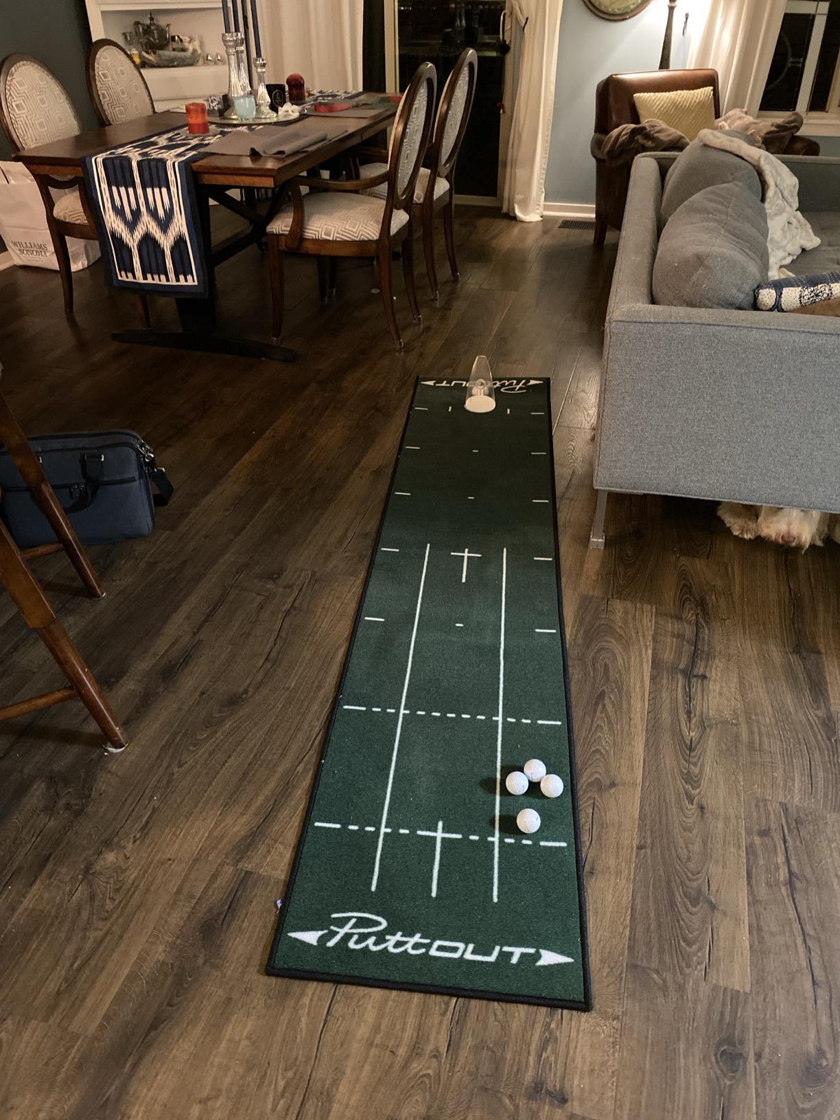 PuttOUT Medium Putting Mat - Perfect Your Golf Putting (7.9ft x 1.6ft)(Green) customer photo 2