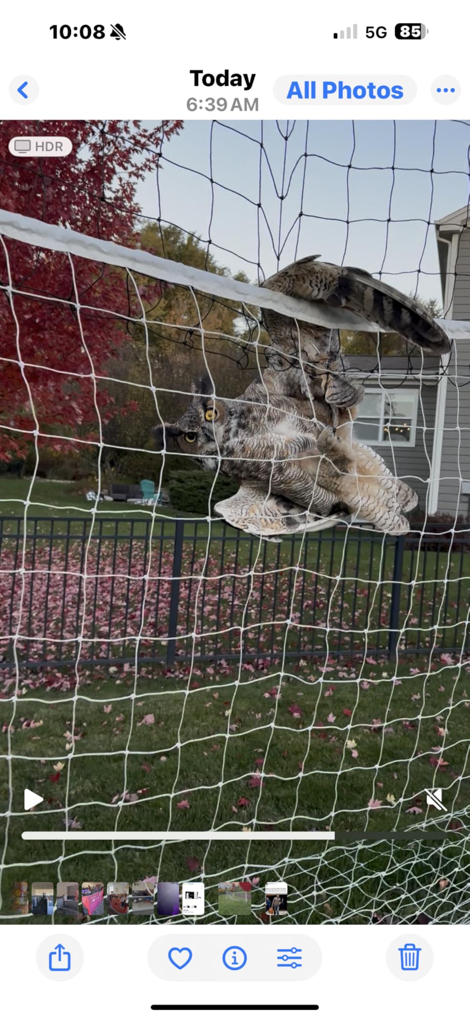 Open Goaaal Soccer Goal, Rebounder and Backstop Net | All-in-one backyard system; continuous shooting practice and missed-shot protection customer photo 2