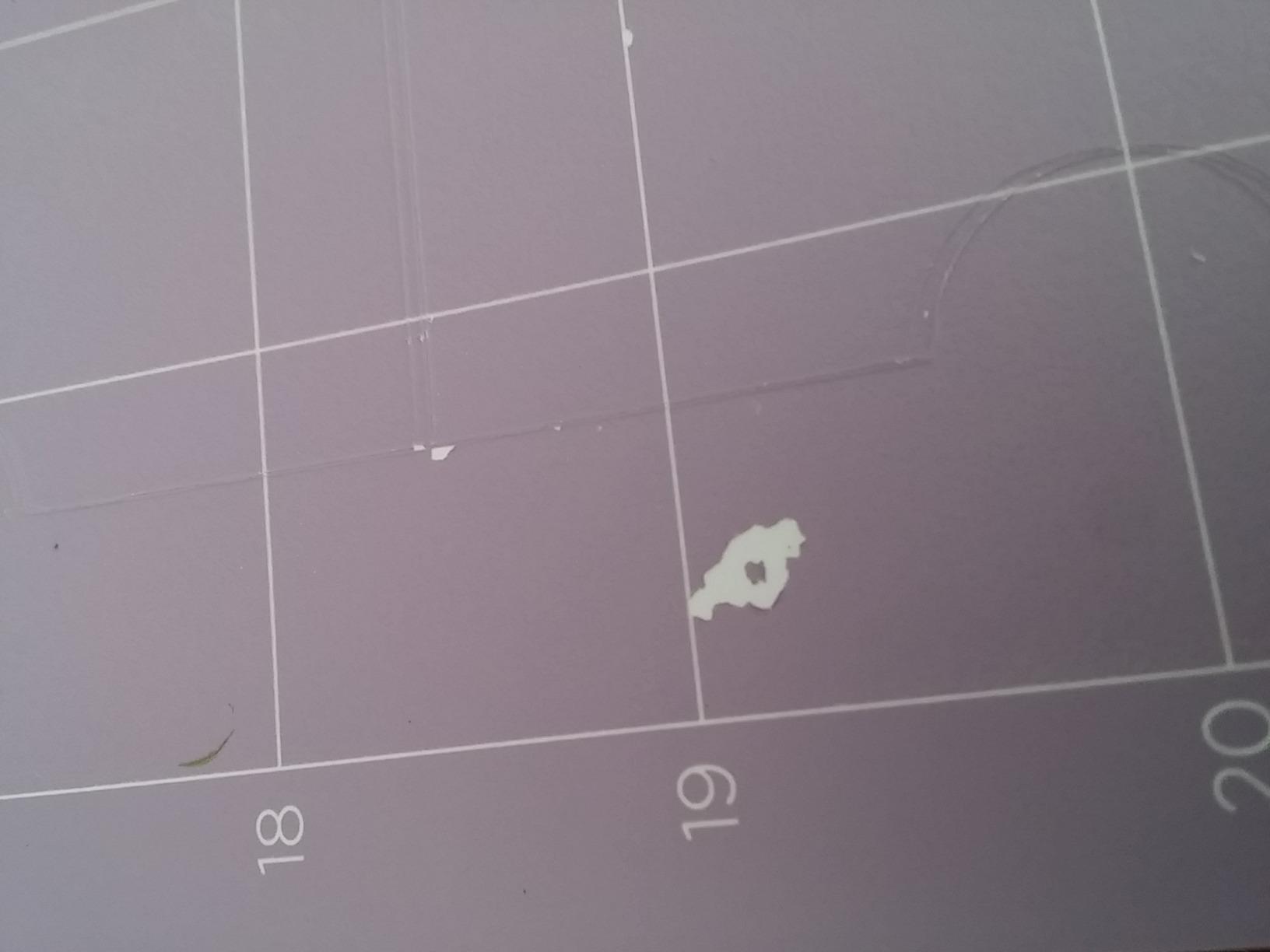 StrongGrip Cricut Cutting Mat 12in x 12in (3 Count) | Craft Mat for Cricut Maker & Explore customer photo 1