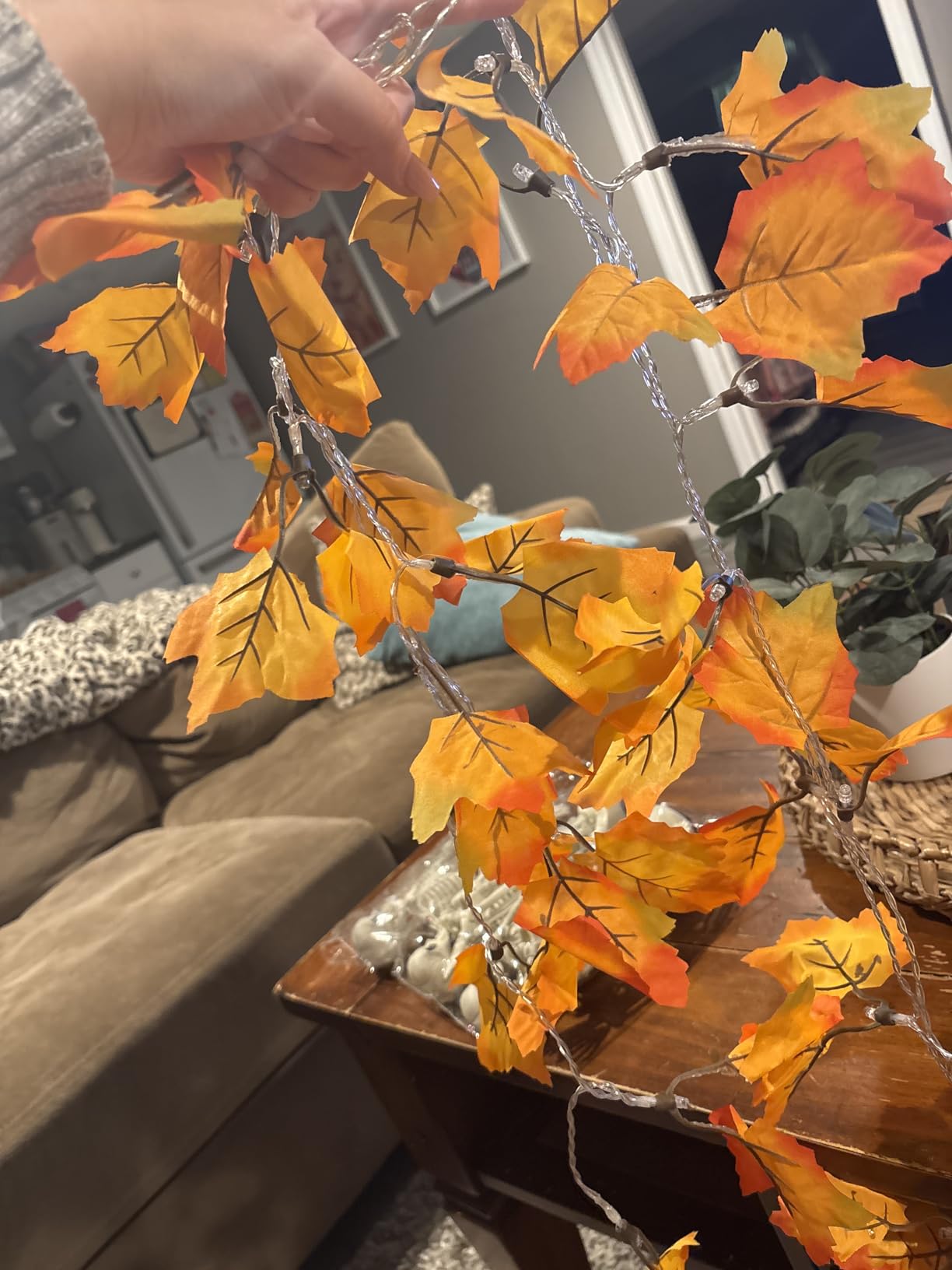 2-Pack Lighted Fall Garland, Total 16.4ft 40 LED Autumn String Lights | Battery Operated, Thanksgiving & Halloween Decorations for Home Indoor, Holiday Party Fall Decor & Friendsgiving Gifts customer photo 1