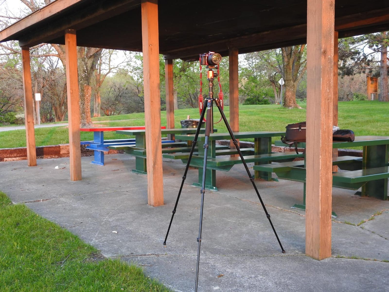 GEEKOTO 77'' Tripod, Camera Tripod for DSLR, Compact Aluminum Tripod with 360 Degree Ball Head and 8kgs Load for Travel and Work customer photo 2