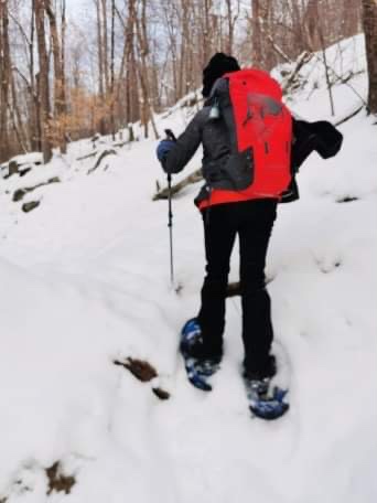 Yukon Charlie's Advanced Snowshoe Kit, Includes Snowshoes, Trekking Poles and Travel Bag customer photo 2