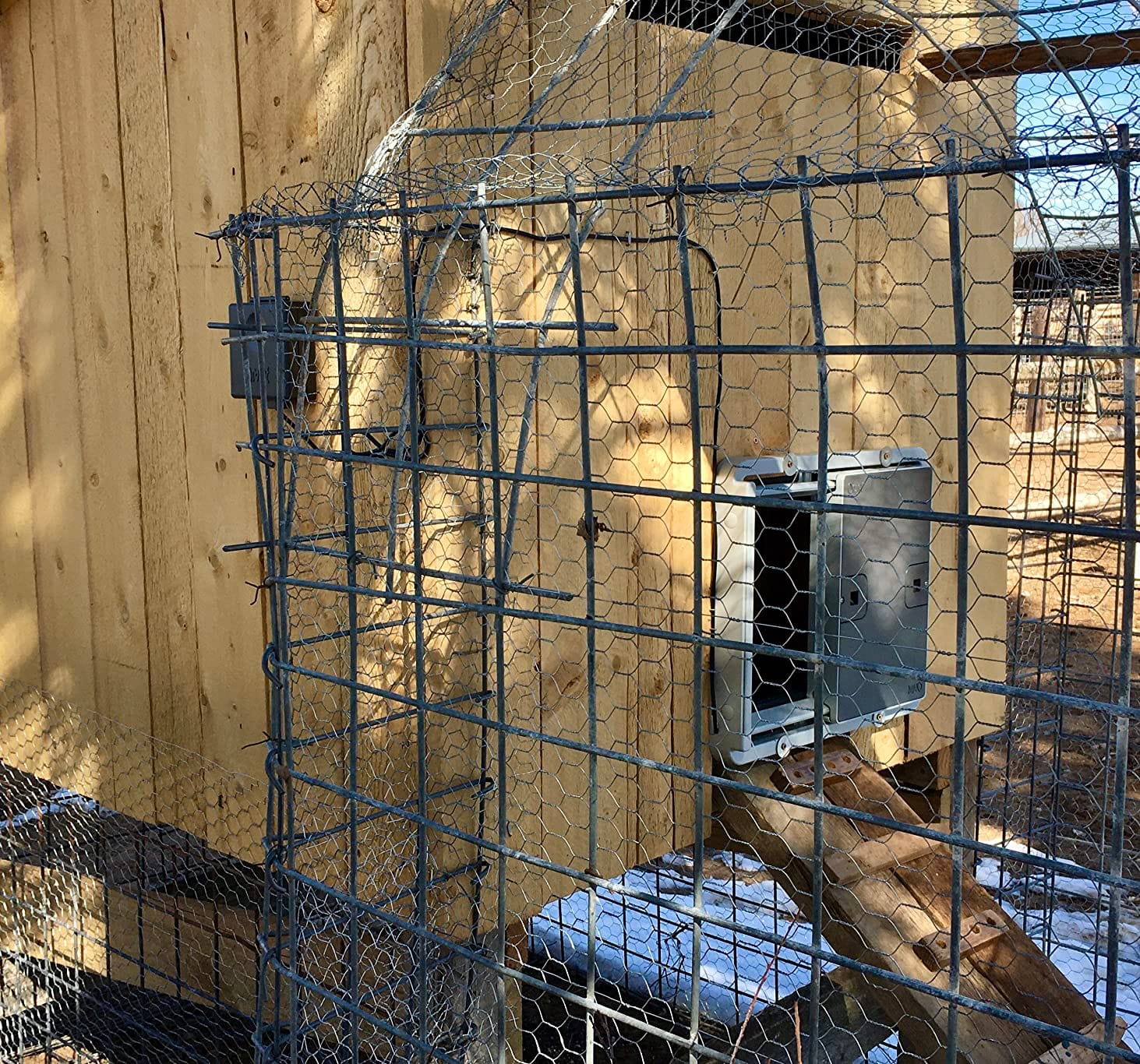 Omlet Automatic Chicken Coop Door Opener Operated by Light Sensor or Timer | Easy to Install, No Maintenance Required | Improves Coop Security and Insulation | Built-in Safety Sensors | Green customer photo 2