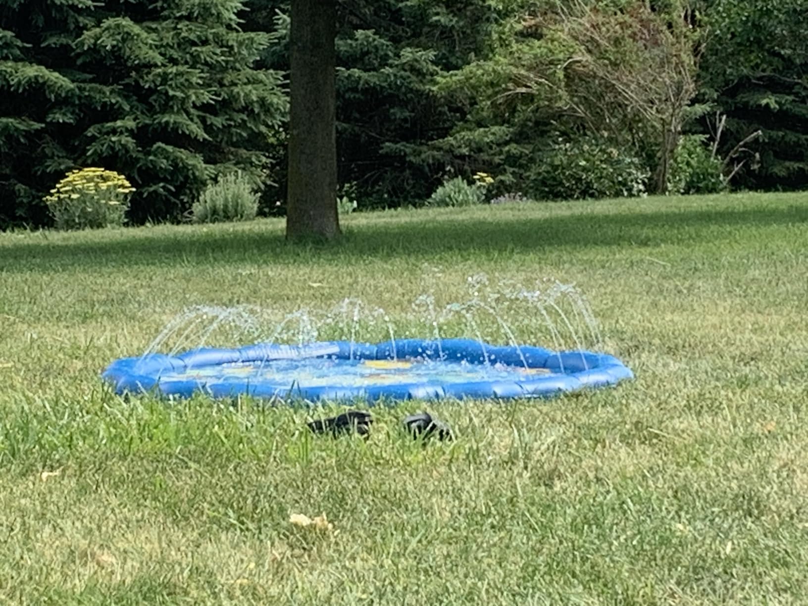SplashEZ 3-in-1 Splash Pad, Sprinkler for Kids & Baby Pool for Learning customer photo 1