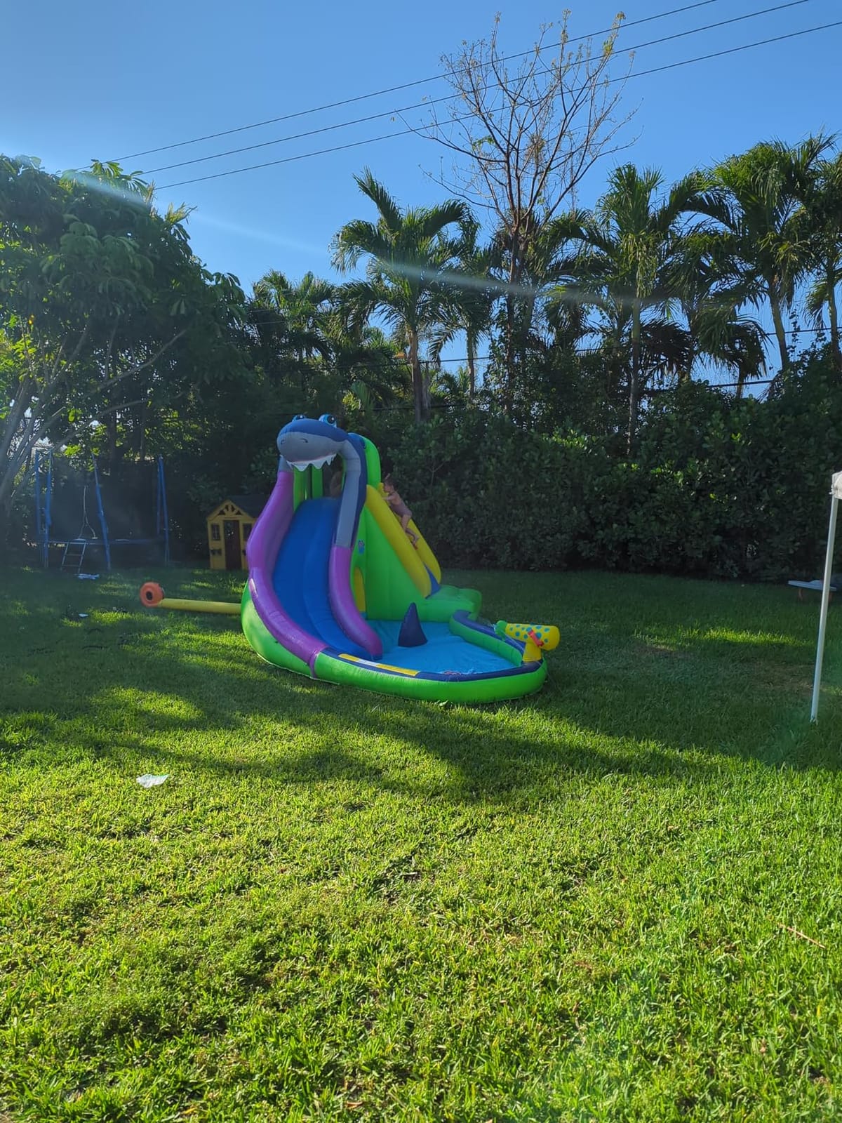 ACTION AIR Inflatable Water Slide, Shark Bounce House with Slide for Wet and Dry, Playground Sets for Kids Backyard, Water Spray & Water Pool, Durable Sewn with Extra Thick Material customer photo 1