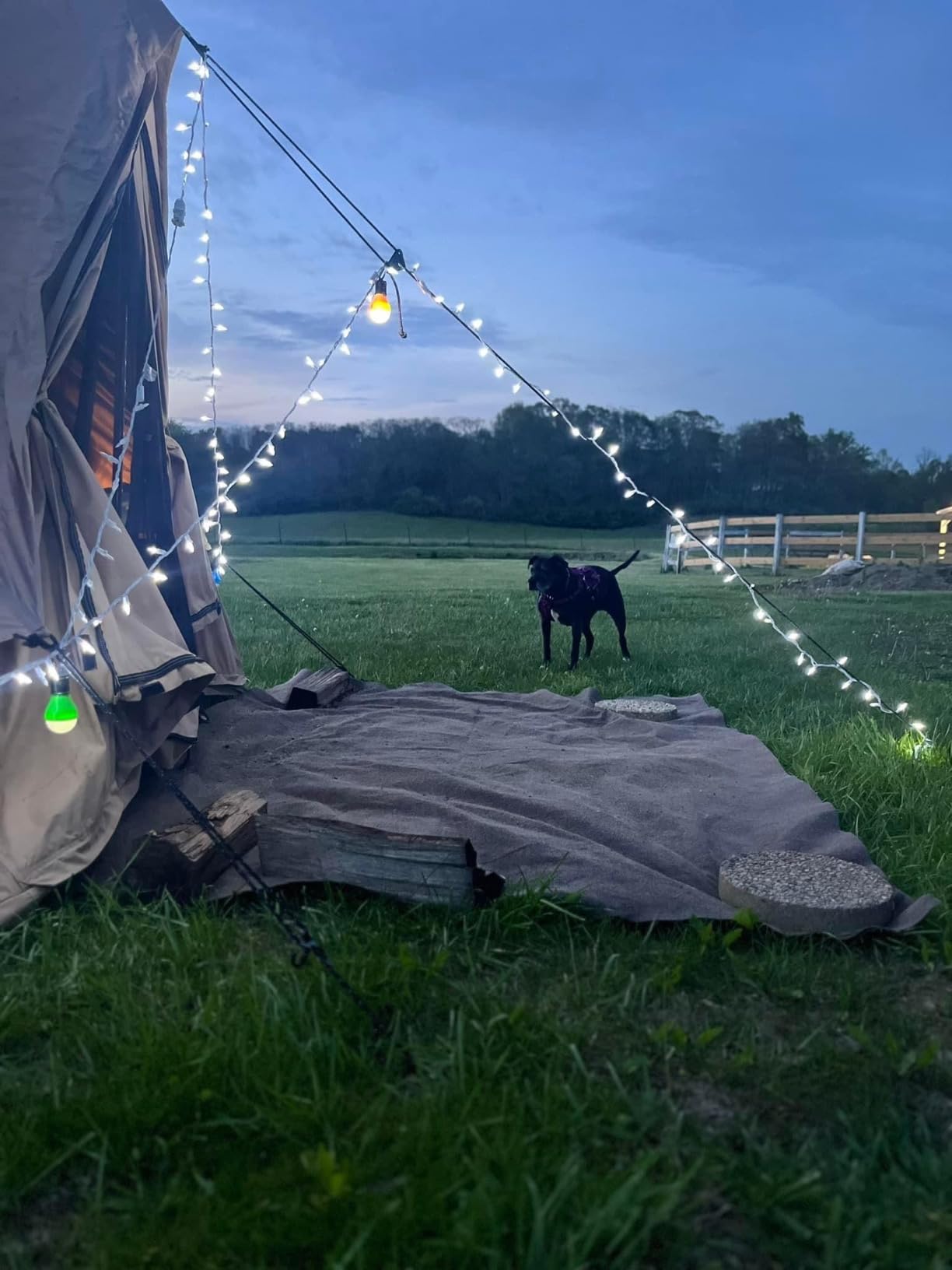 WHITEDUCK Regatta Canvas Bell Tent Fire Water Repellent - w/StoveJack, Waterproof, 4 Season Luxury Camping and Glamping Yurt Tent Outdoor customer photo 1