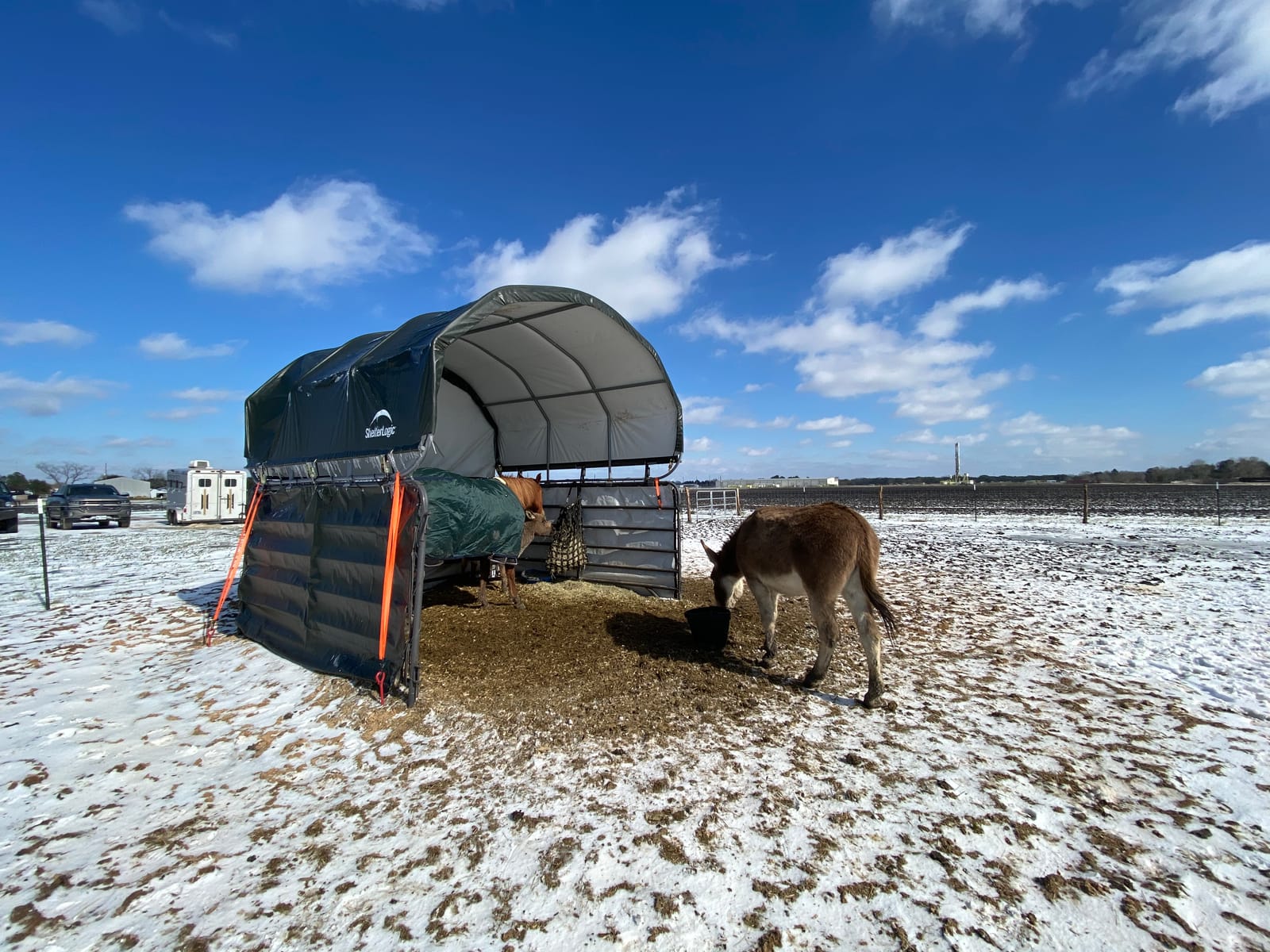 ShelterLogic 10' x 10' Powder Coated Green Corral Shelter Livestock Shade customer photo 1