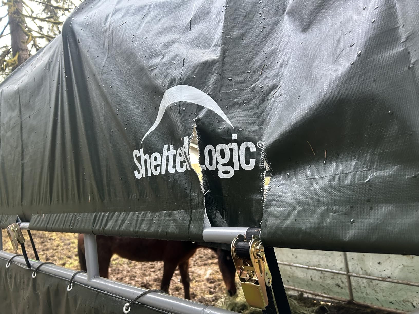 ShelterLogic 10' x 10' Powder Coated Green Corral Shelter Livestock Shade customer photo 2