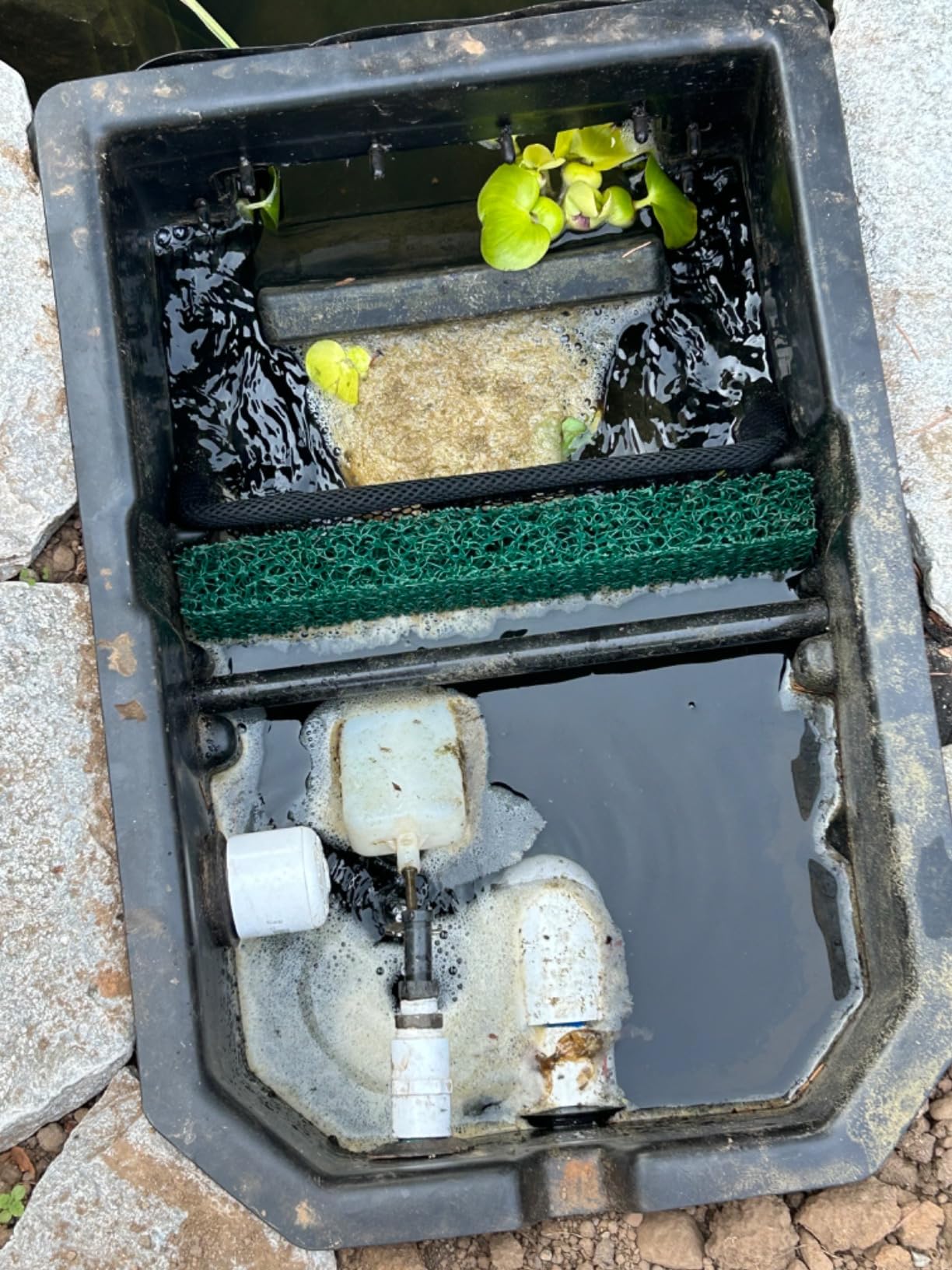 The Pond Guy ClearSkim Skimmer, Faux Rock Lid, Filter Pad & Debris Net customer photo 2