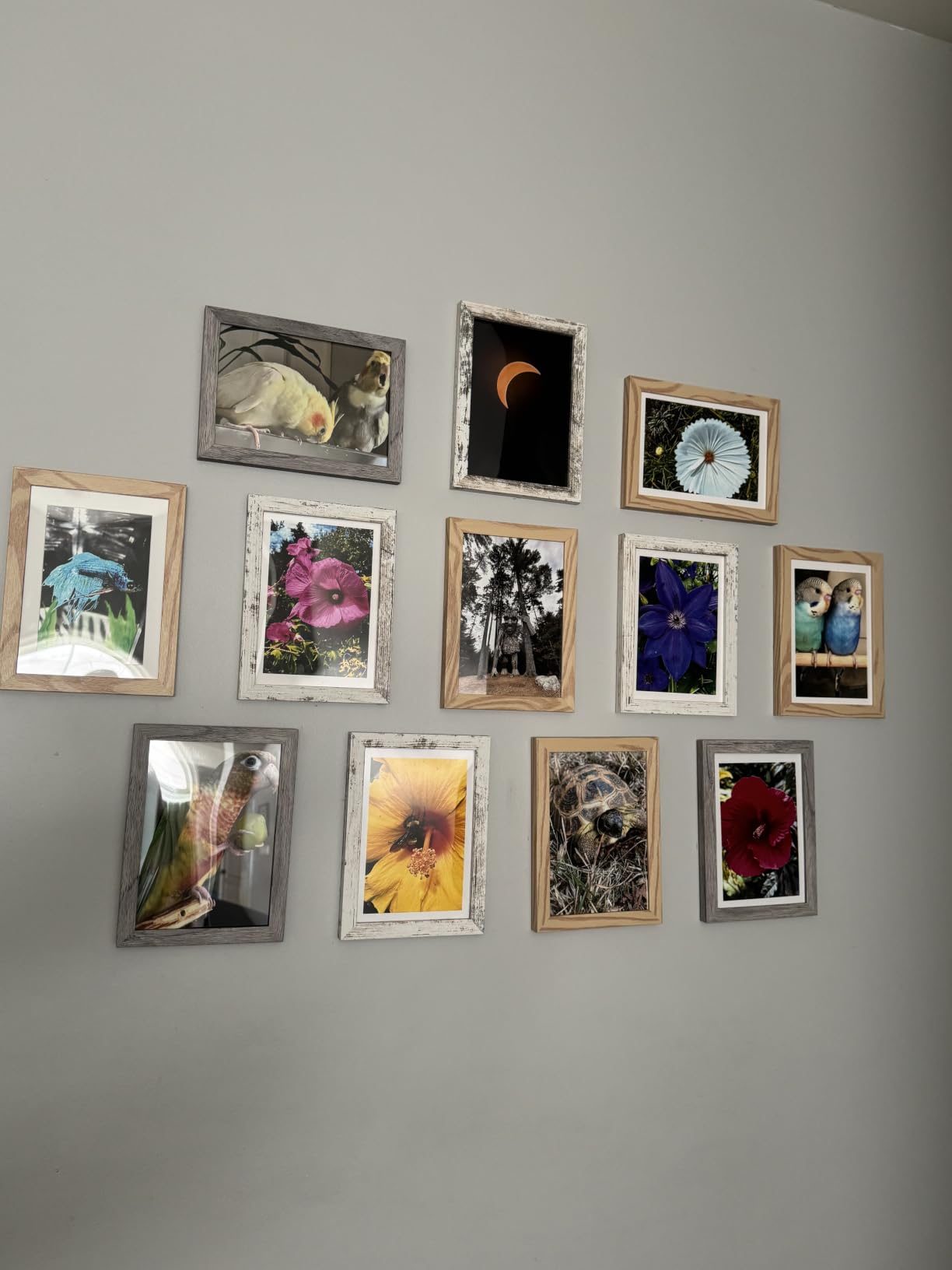 upsimples 8x10 Picture Frame Set of 10, Display Pictures 5x7 with Mat or 8x10 Without, Multi Photo Frames Collage for Wall or Tabletop Display, Black customer photo 1