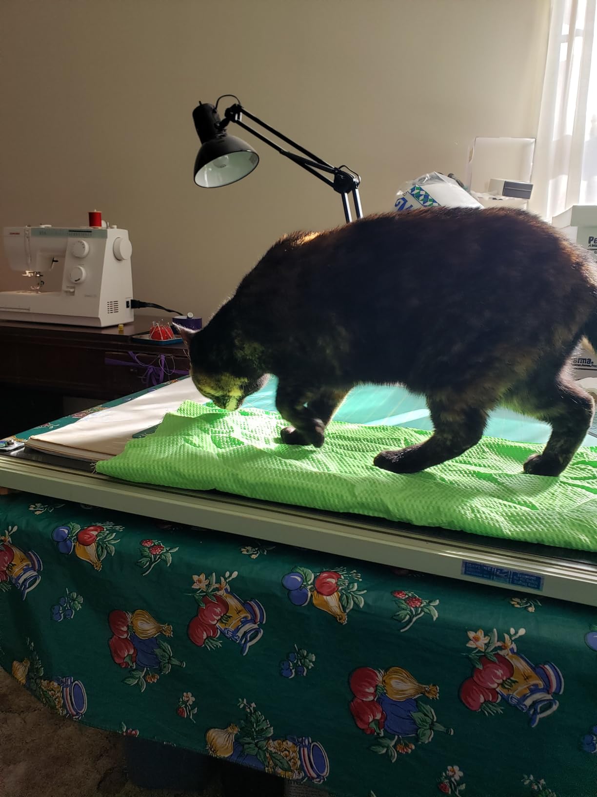 Janome Sewist 721 Sewing Machine | 5mm customer photo 1