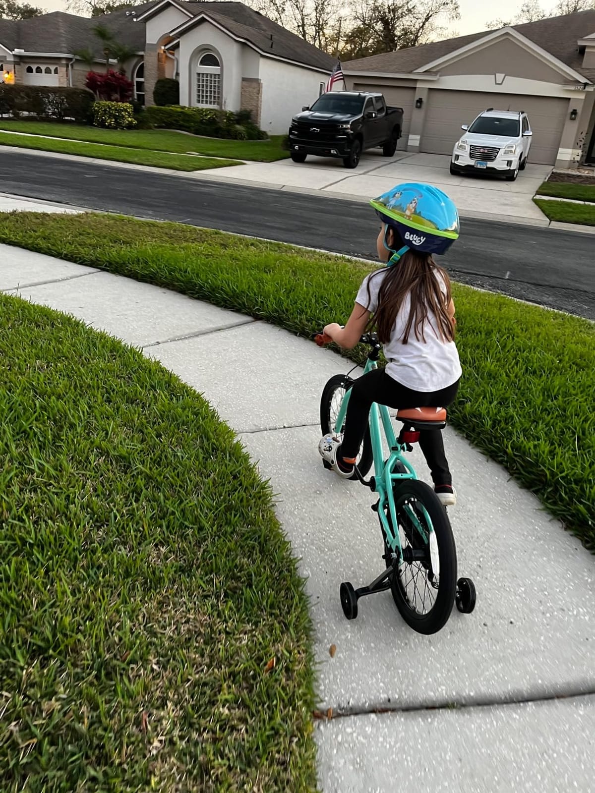JOYSTAR Kids Bike for Ages 2-12 Years Boys Girls BMX Style Bicycle | 12-20 Inch Kids Bike with Training Wheels, Children Bicycle for Kids & Toddler customer photo 1