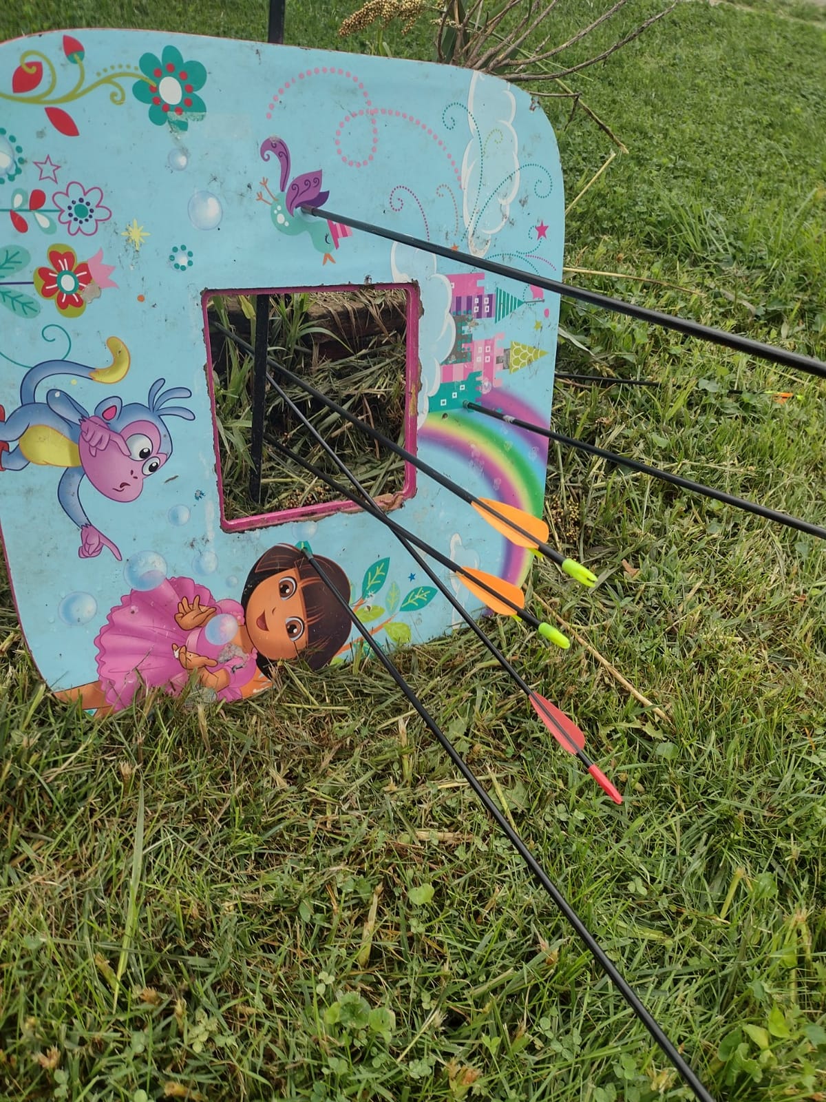 Compound Bow Archery for Youth and Beginner, Right Handed, 19-28 Draw Length, 15-29 Lbs Draw Weight, 260 fps customer photo 2