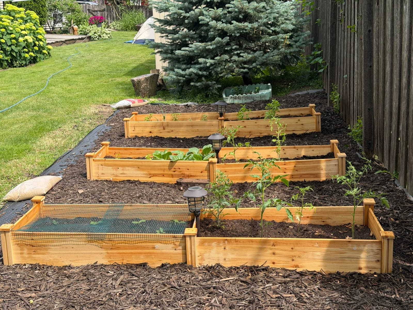 Yaheetech Raised Garden Bed Wooden Planter Box for Vegetables/Flowers, Wood customer photo 1