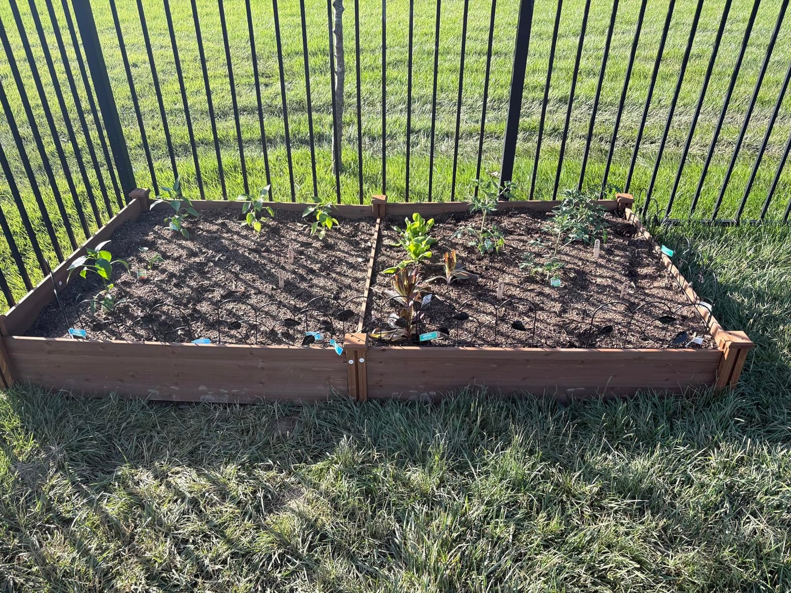 Yaheetech Raised Garden Bed Wooden Planter Box for Vegetables/Flowers, Wood customer photo 2