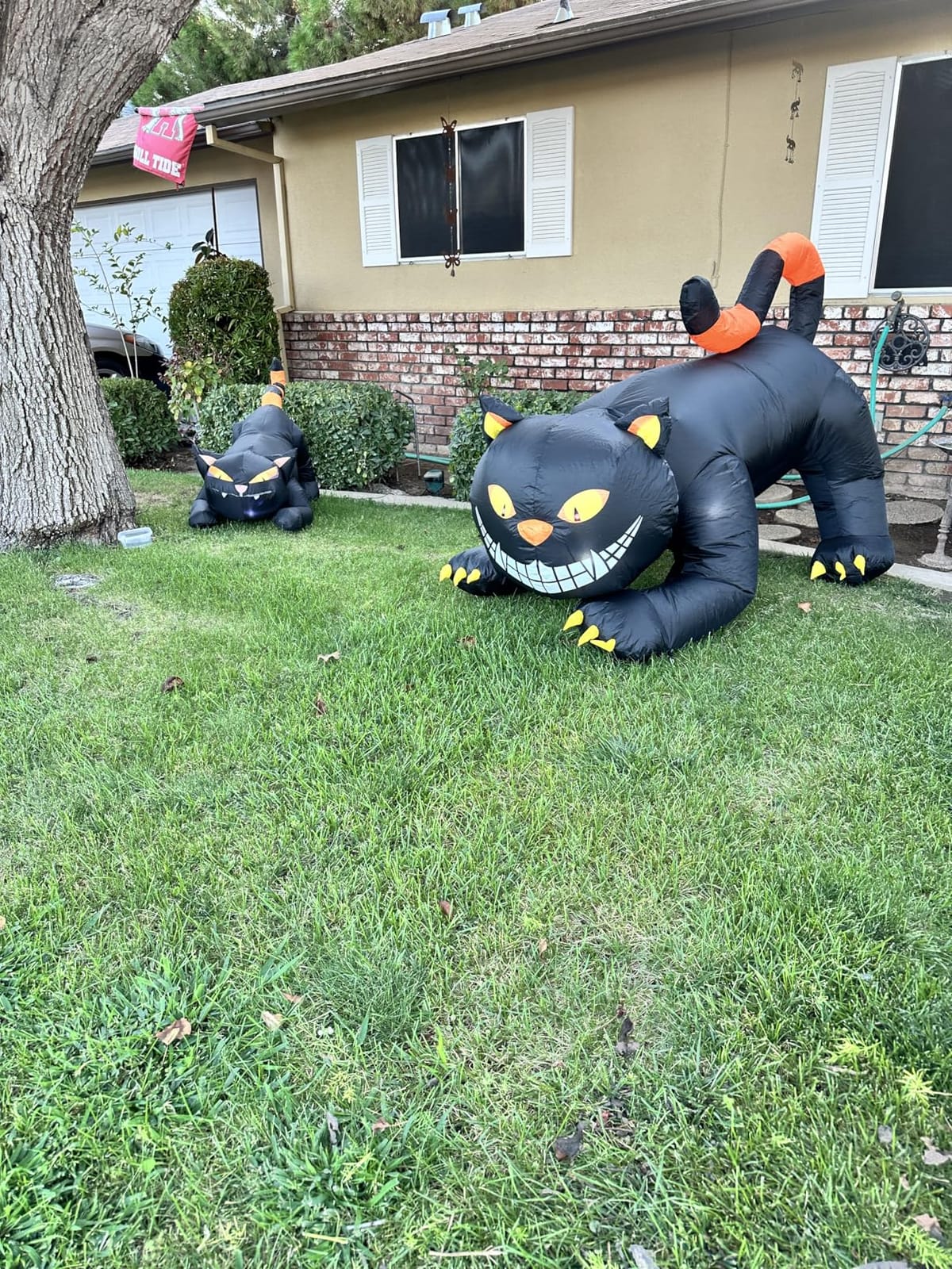 GOOSH 6 FT Halloween Inflatables Outdoor Black Cat with Shakable Head, Blow Up Yard Decoration with LED Lights Built-in for Holiday/Party/Yard/Garden customer photo 2