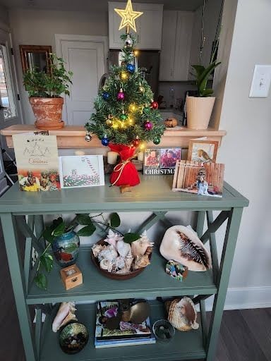 Sunnyglade 22Inch Tabletop Christmas Tree Mini Artificial Christmas Tree with 30 LED Lights & 24 Pcs Xmas Ball for Table Top Desk Classic Series Holiday Decoration (Green) customer photo 1
