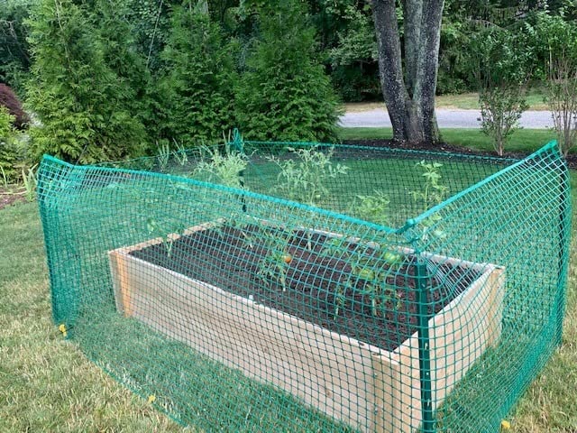 Infinite Cedar Deep Root Cedar Raised Bed Garden Kit customer photo 1