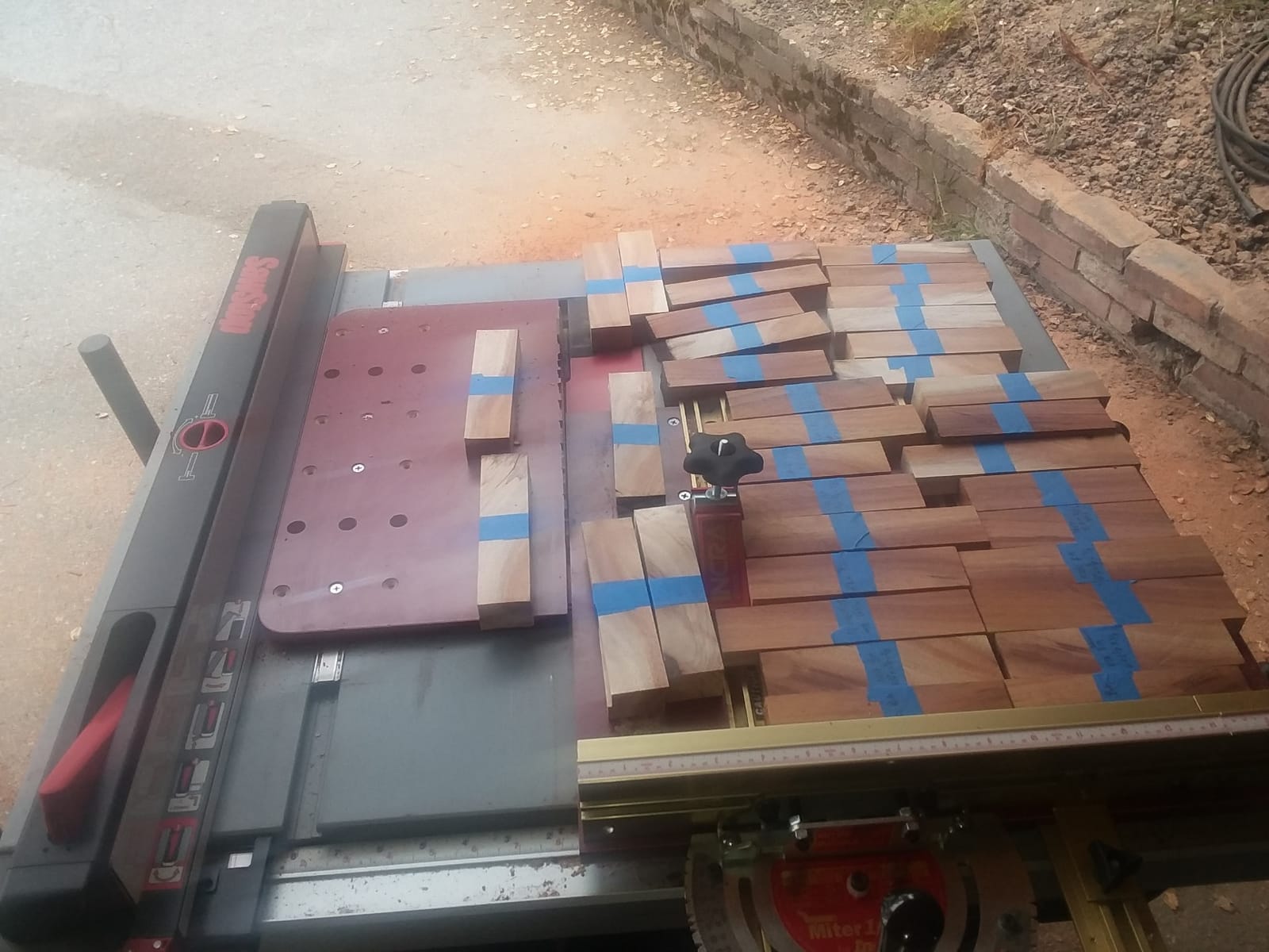 SawStop Jobsite Saw PRO with Mobile Cart Assembly - 1-1/2 HP 120V 60Hz JSS-120A60 customer photo 1