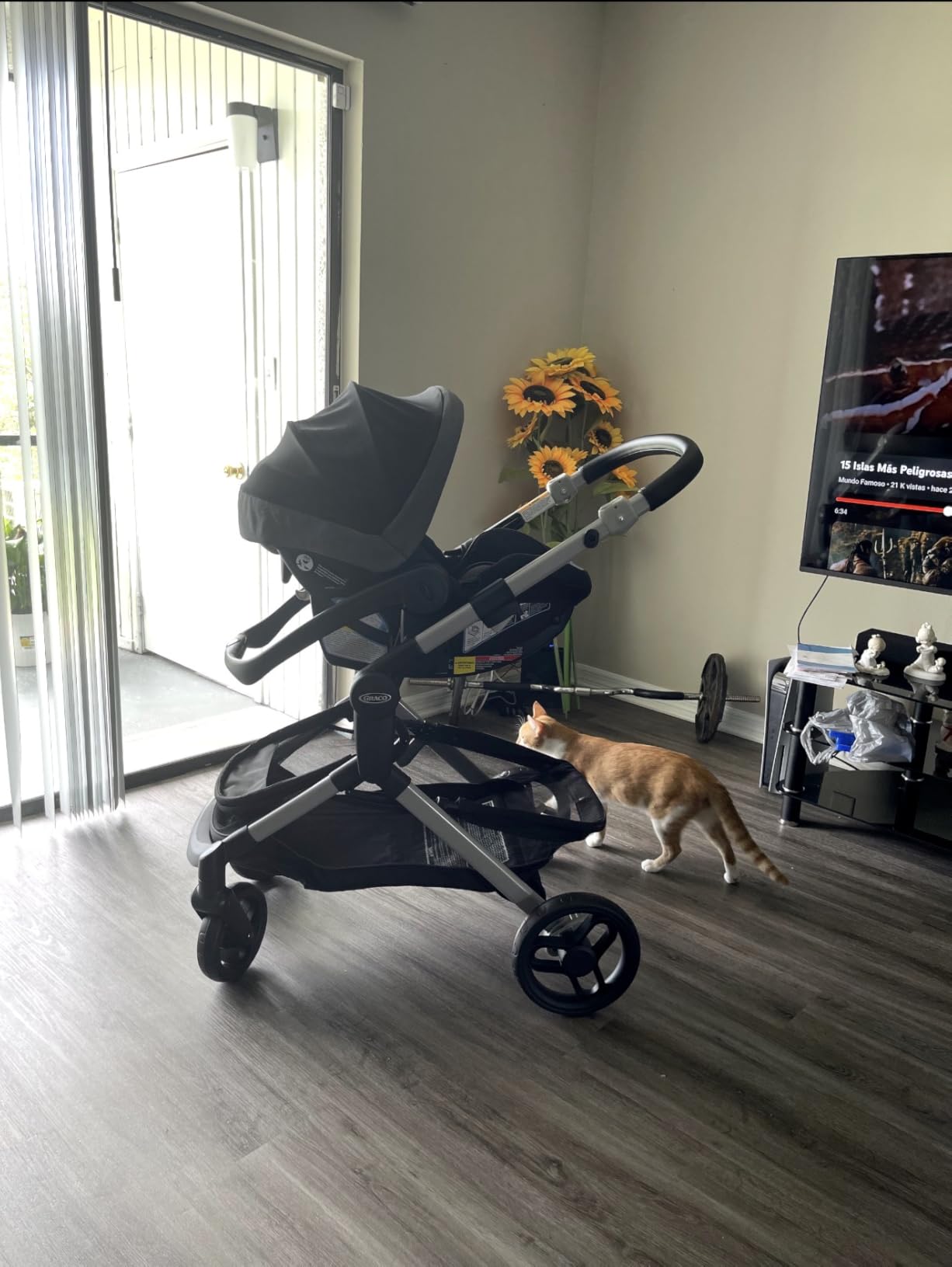 Graco Modes Nest Travel System, 3-in-1 Modular Carseat Stroller Combo customer photo 1