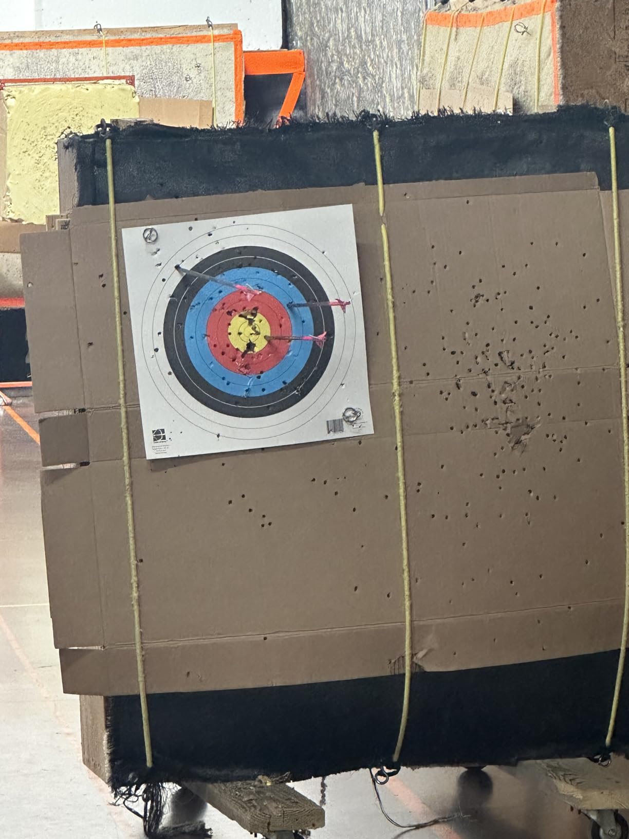 Bear Archery Royale Ready to Hunt Compound Bow Archery Set with Archery Accessories for Adults and Youths, 12-27 Draw Length, 5-50 Lbs Draw Weight, Up to 290 FPS customer photo 2
