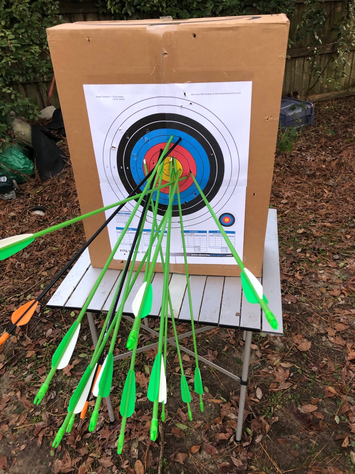 Bear Archery Apprentice Bow Set customer photo 2