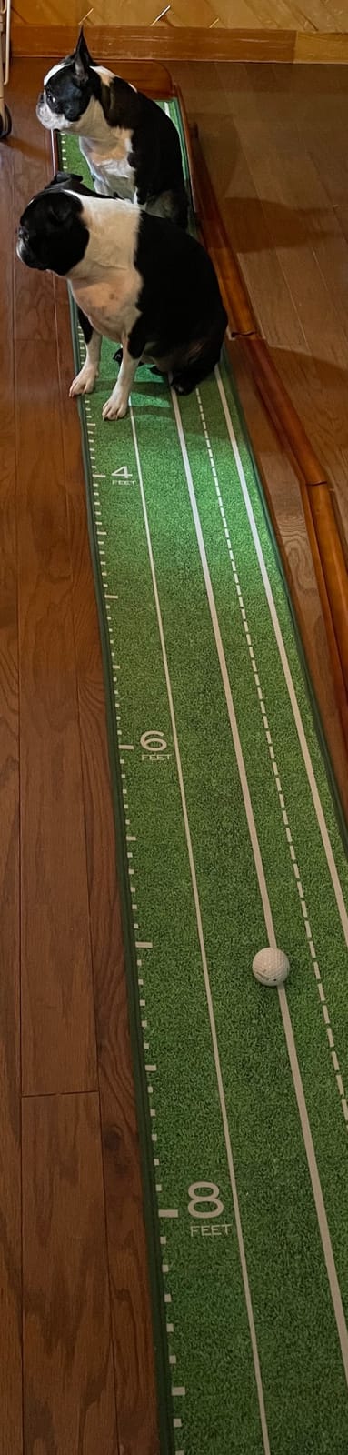 Perfect Practice Standard 9' Putting Mat - Indoor Putting Green with Auto Ball Return customer photo 1
