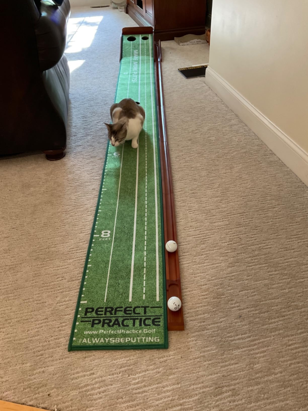 Perfect Practice Standard 9' Putting Mat - Indoor Putting Green with Auto Ball Return customer photo 2