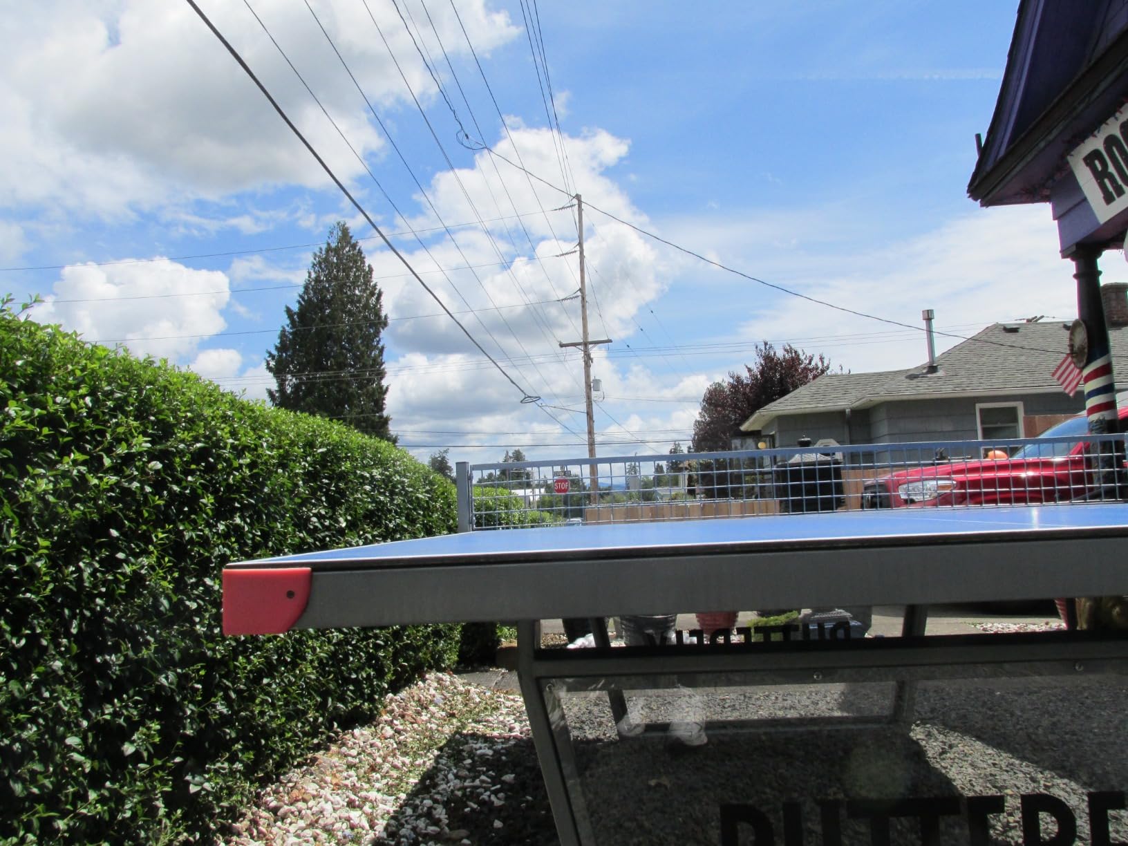 Butterfly Park Outdoor Table Tennis Table customer photo 2