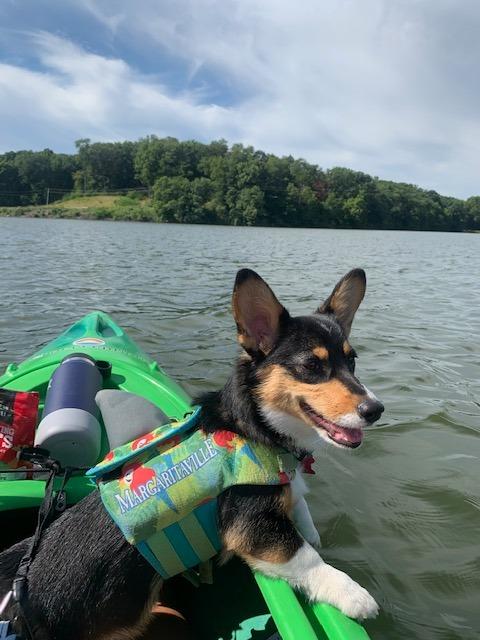 Perception Flash 9.5 | Sit Inside Kayak | Rod Holders and Rear Storage customer photo 1
