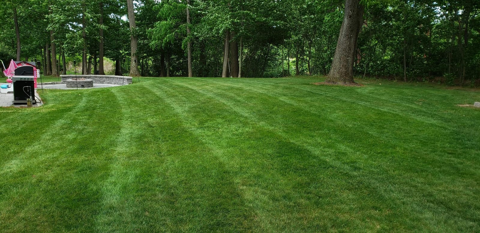 John Deere Grass Groomer-42 Accel-Z300 - LP63763 customer photo 1