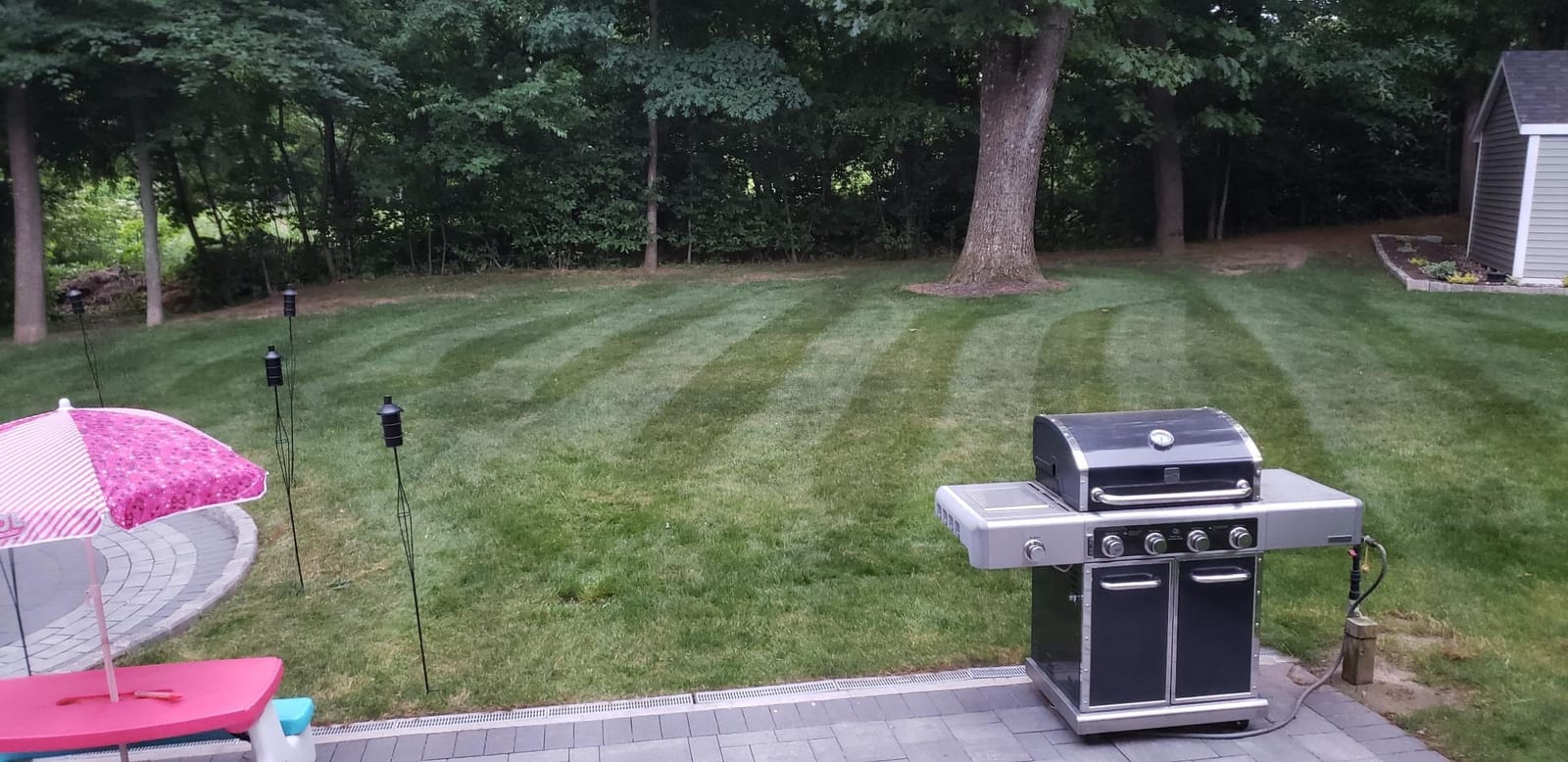 John Deere Grass Groomer-42 Accel-Z300 - LP63763 customer photo 2