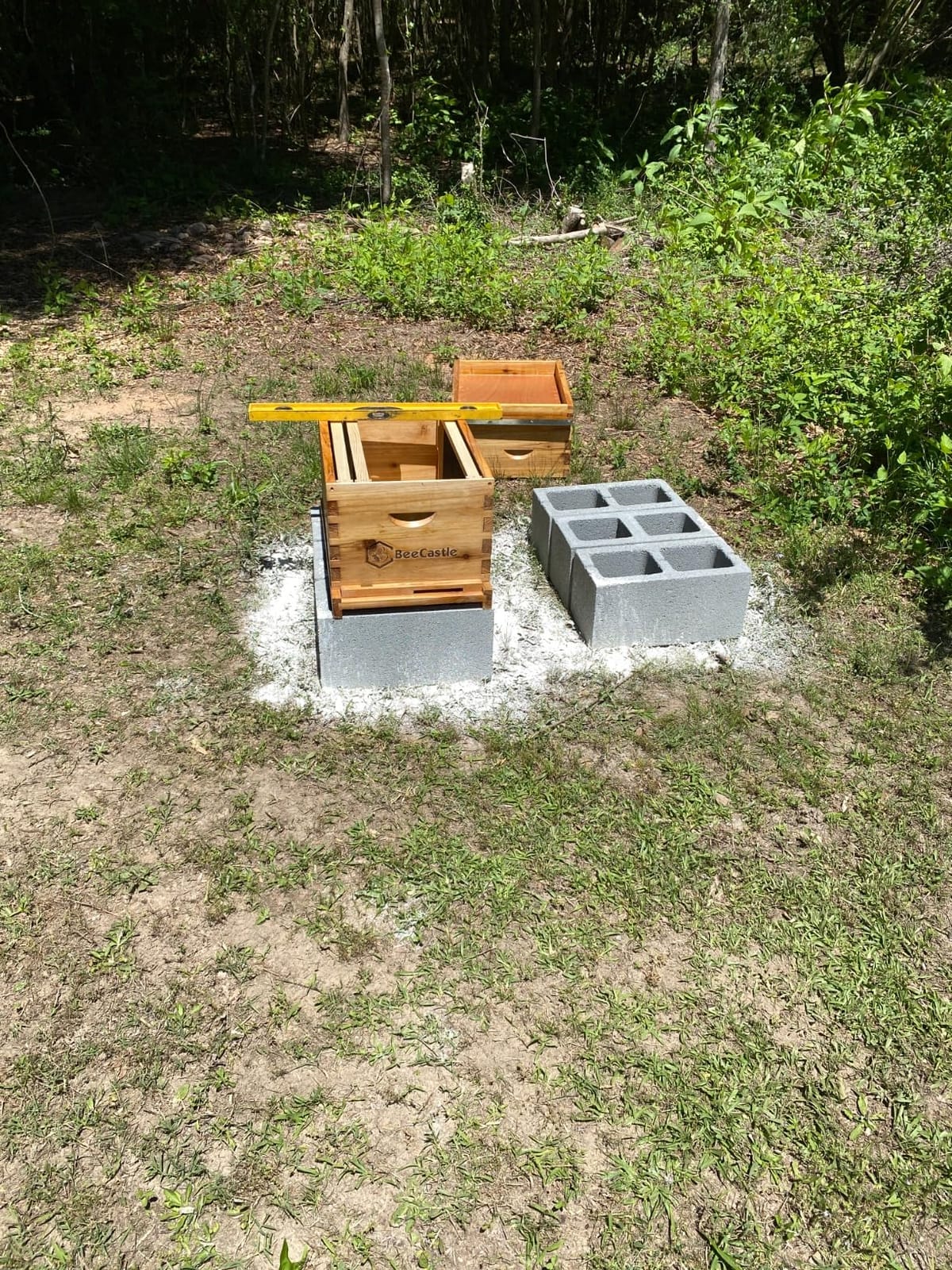 BeeCastle 8 Frame Langstroth Bee Hive Coated with Beeswax Includes Beehive Frames and Waxed Foundations (1 Deep Box & 1 Medium Box) customer photo 2