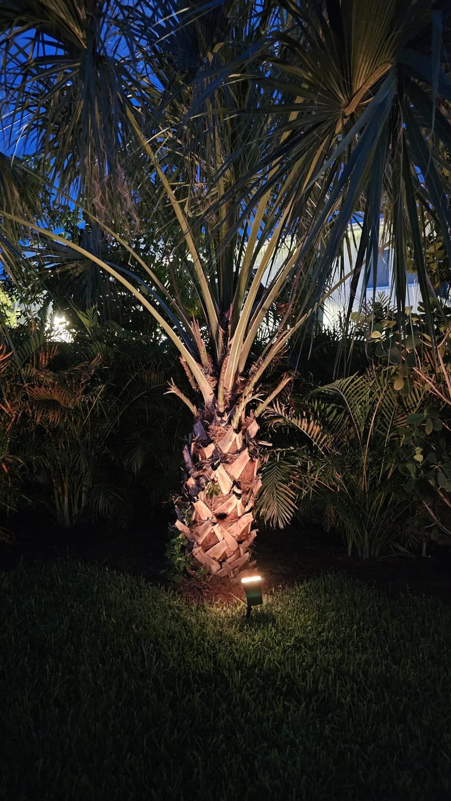 Linkind Solar Lights Outdoor Waterproof IP65, StarRay Dusk-to-Dawn Outdoor Solar Lights, 3 Lighting Modes Solar Spot Lights Outdoor for Garden, Yard, Landscape (Daylight, 2 Pack) customer photo 1